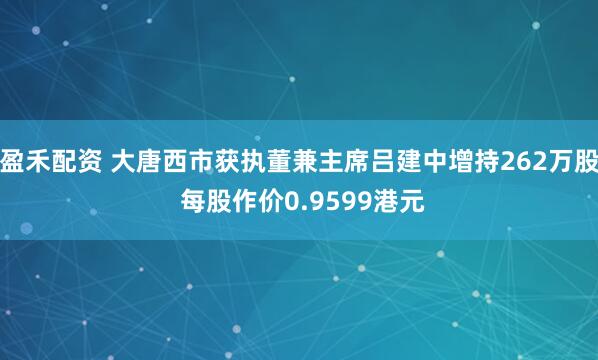 盈禾配资 大唐西市获执董兼主席吕建中增持262万股 每股作价0.9599港元