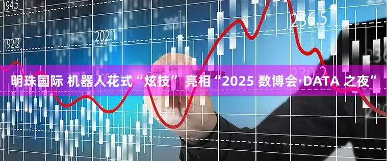 明珠国际 机器人花式“炫技” 亮相“2025 数博会·DATA 之夜”